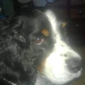 Meet your Posher, Calleen